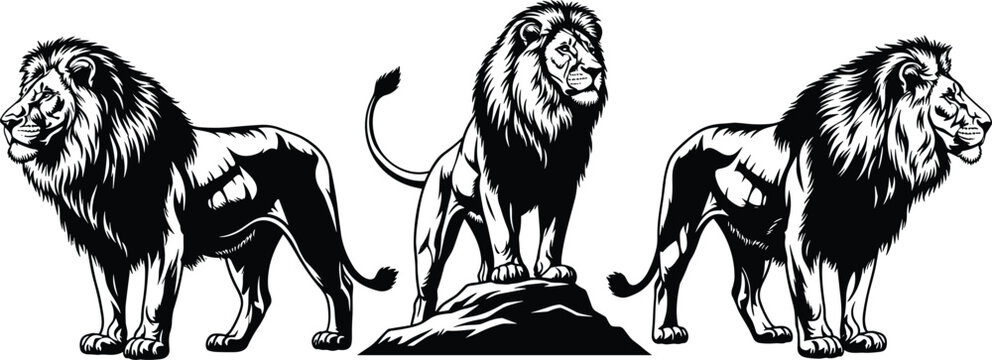Majestic lion illustration set with detailed black and white vector artwork, powerful wild animal poses isolated for design branding
