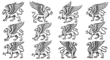 Fototapeta premium Mythical Griffin Creature Collection: Vintage Heraldic Style Illustrations
