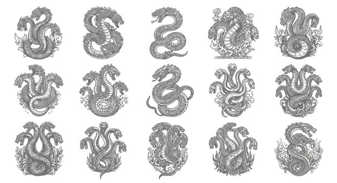 Mythological Hydra Serpent Collection: Ancient Greek Monster Illustrations