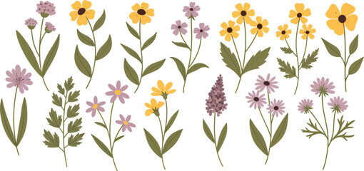 Fototapeta premium Vibrant Illustration of Wildflowers and Green Leaves