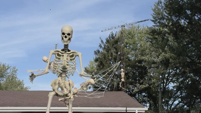 Funny Skeleton Halloween decoration 4k