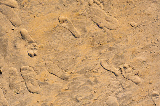 huellas de pisadas sin direccion arena del desierto perdidowood texture, sand, coffee, abstract, blood red, desert, imprint, course, hiker, by foot, way, puzzled, lost, arabia, foot track, travel, vac