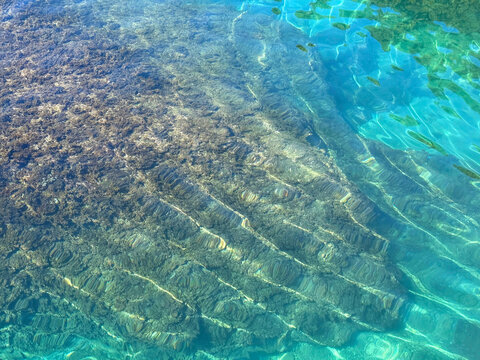Clean sea water with algae on the bottom.