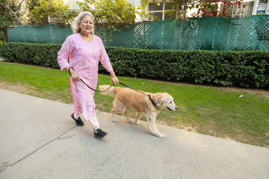 Back view of Active healthy retired Senior Indian elderly woman walking with pet dog outdoor in summer park. Retirement life.
