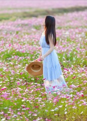 Fototapeta premium An Asian woman playing in a cosmos flower field in spring