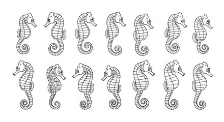 Hand-drawn Seahorse Pattern, Marine Life, Nautical Design, Ocean Creatures © Sifaul