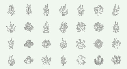 Ocean Flora Icons: Seaweed, Coral, and Marine Plants Line Art Collection © Tisa
