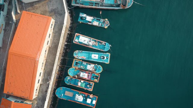 한국 삼척 장호항 항구에 정박해 있는 푸른 어선들의 수직 항공 드론 뷰 (Vertical top-down aerial drone view of blue fishing boats moored at Jangho Port in Samcheok, South Korea)