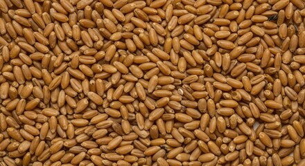 Fototapeta premium Abundant natural texture created by numerous small kernels of dry agricultural cereal grains, perfect for rustic food packaging or bakery backdrops, golden, milling, dry