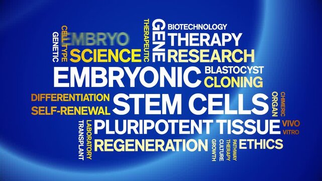 Embryonic Stem Cells animated word cloud-text design animation tag kinetic typography seamless loop.