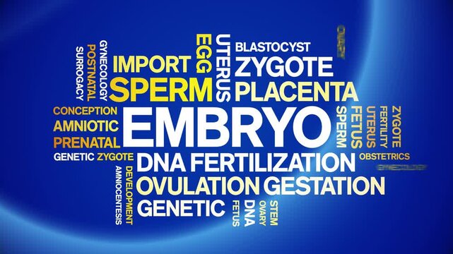 Embryo animated word cloud-text design animation tag kinetic typography seamless loop.