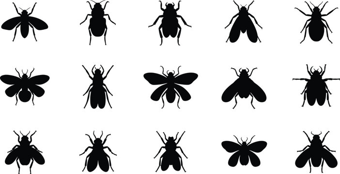 Collection of black insect silhouettes including flies beetles and moths on white fly silhouette beetle silhouette