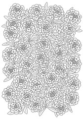 Fototapeta premium Alyssum flower clusters dense garden composition intricate botanical line art coloring page