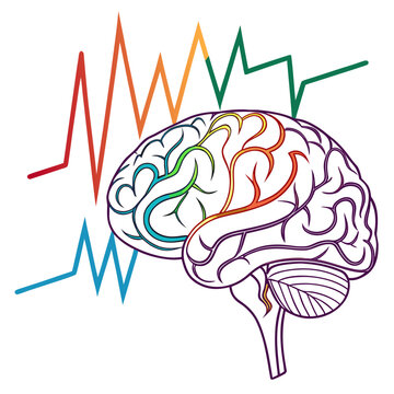 Neuroscience brain illustration with sharp pulse waves and rainbow gradient lines showing cognitive processing and mental stimulation conceptual art.