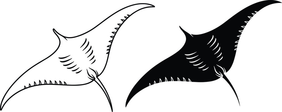 Manta ray silhouette and line art illustration representing marine wildlife, ocean life, and aquatic animal design isolated on white background