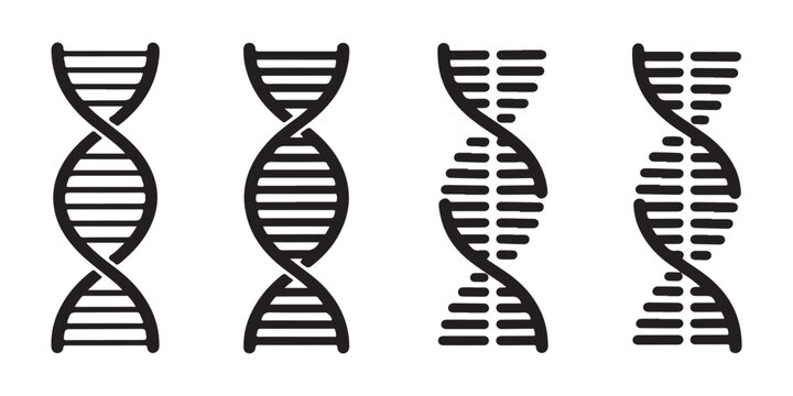 Dna helix structure vector icons with different base pair styles showing genetics and molecular biology art.