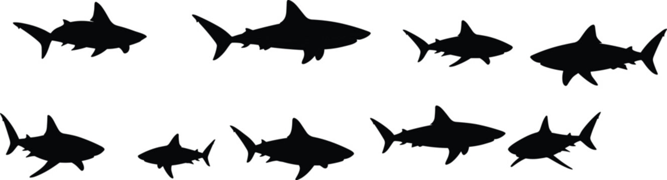 Shark silhouettes collection vector set, different marine predator fish shapes isolated, ocean wildlife icons for underwater and aquatic design projects