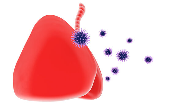 Human lungs and viral infections, pneumonia, and cancer gene mutations
