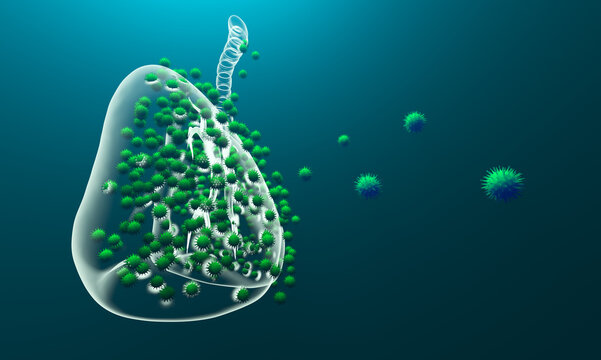 Human lungs and viral infections, pneumonia, and cancer gene mutations