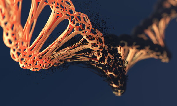 DNA Structure Evolution and Variation: Biotechnology and Genetic Replication