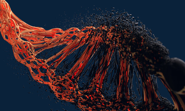 DNA Structure Evolution and Variation: Biotechnology and Genetic Replication