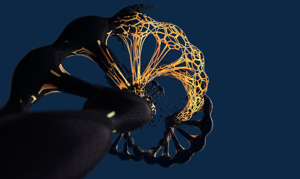 DNA Structure Evolution and Variation: Biotechnology and Genetic Replication