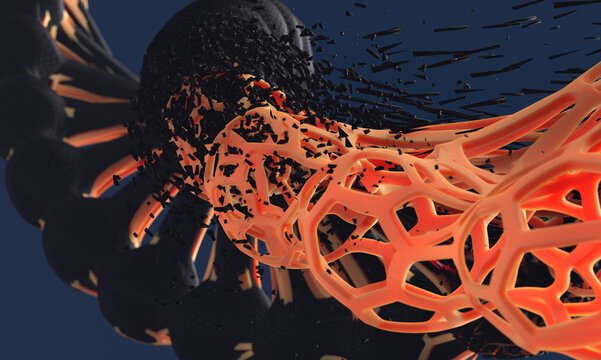 DNA Structure Evolution and Variation: Biotechnology and Genetic Replication