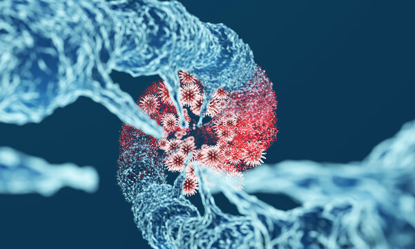 Viral infection causes DNA structure damage and mutation
