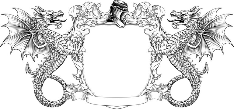 Wyvern dragons coat of arms or crest family heraldry medieval heraldic knight shield with helmet and acanthus filigree scroll ornament in a vintage woodcut style.