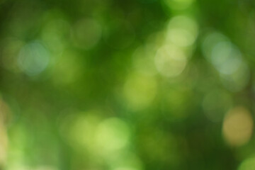 Abstract Green Nature Bokeh Background Texture © Chetra168