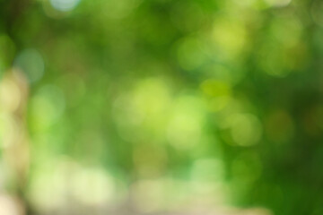 Blurred Natural Green Foliage Bokeh Background © Chetra168