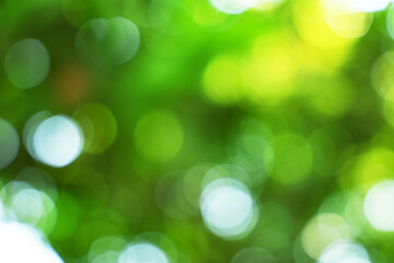 Abstract Green Nature Bokeh Background Blur © Chetra168