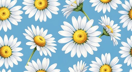 Obraz premium White Daisies on Blue Background Floral Pattern