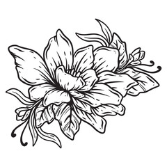 Obraz premium engraving art flower black and white vector design