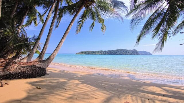 Palm trees arching over beach with turquoise sea and island