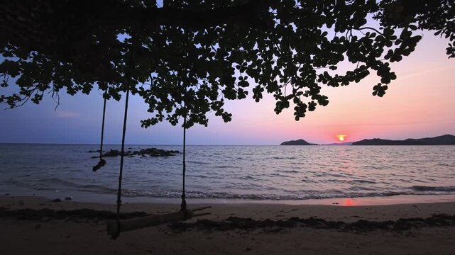 Sunset beach framed by tree canopy with hanging rope swing
