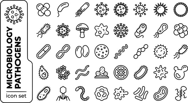 Microbiology Pathogens Bold Line Icons-Bacterium Virus Fungi Protozoa Prion E-Coli Staphylococcus Spirochete Biofilm-25 Microbiology Icon Set Vector - Pathogen Icons