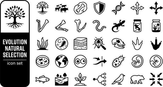 Evolution Natural Selection Bold Line Icons-Darwin Tree Fossil Mutation Speciation Homologous Vestigial Camouflage Genetic Drift-20 Evolution Icon Set Vector - Natural Selection Icons