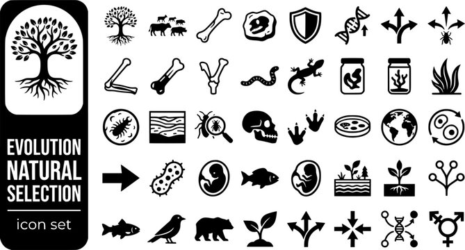 Evolution Natural Selection Bold Line Icons-Darwin Tree Fossil Mutation Speciation Homologous Vestigial Camouflage Genetic Drift-20 Evolution Icon Set Vector - Natural Selection Icons