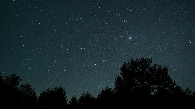 Starry night sky above forest silhouette time lapse nature scene, celestial motion over dark landscape with countless shining points