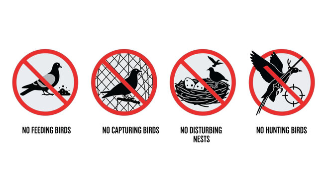 Bird Protection Signs: No Feeding, Capturing, Disturbing Nests, or Hunting