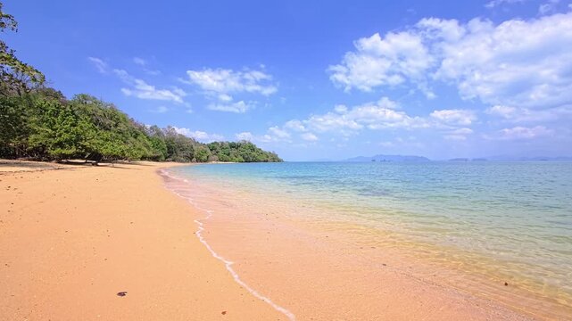Transparent shallows over pale sand along a wide tropical beach
