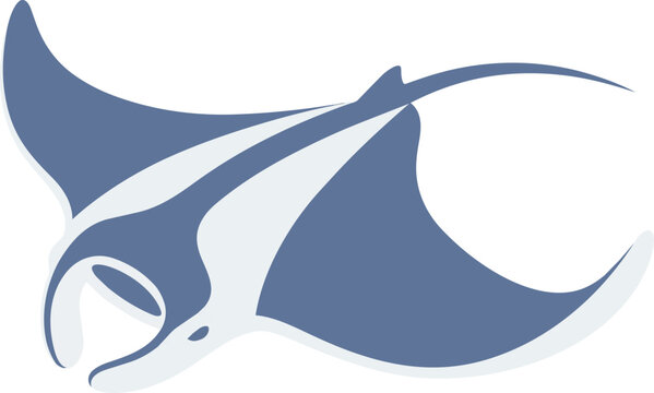 Blue Manta Ray Fish Illustration.