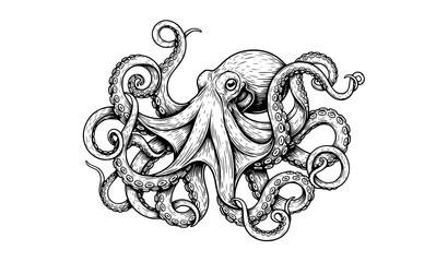 Classic engraved octopus vector illustration for vintage marine logos, labels, and emblems on white background © Sabbir
