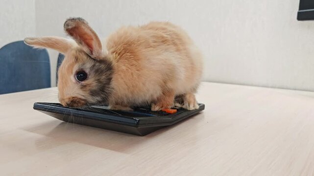 Cost reduction, the concept of saving, corporate business effectively saves the company's costs and resources by eliminating unnecessary expenses.