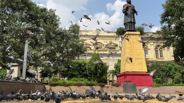 A shot of Pigeons Flying at Chandni Chowk Delhi