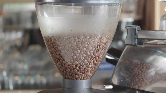 Fresh roasted coffee beans in industrial grinder hopper for making espresso in cafe setting.