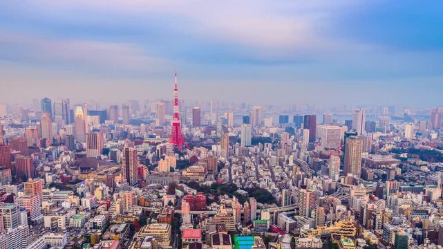 Tokyo, Japan Skyline and Tower 5133