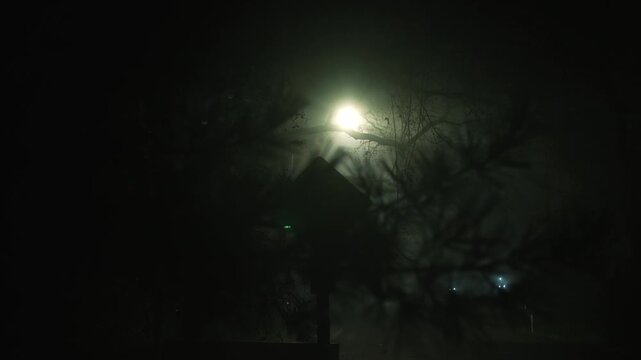 Street lamp in fog with tree branch silhouettes at night creating dark cinematic atmosphere of quiet street with diffused light and mysterious rays