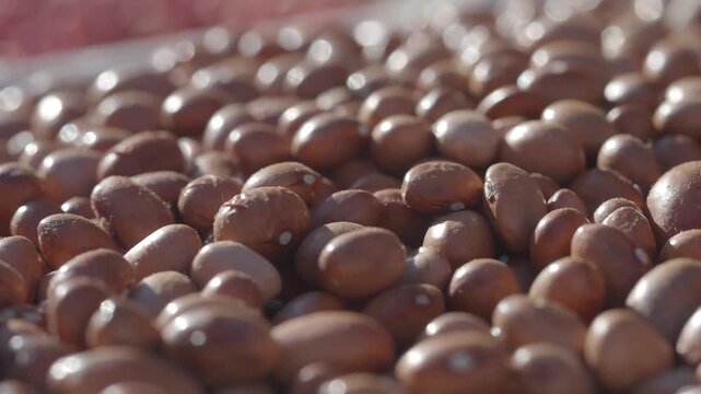 A close up view of brown pinto beans shimmering in natural light dynamic motion.